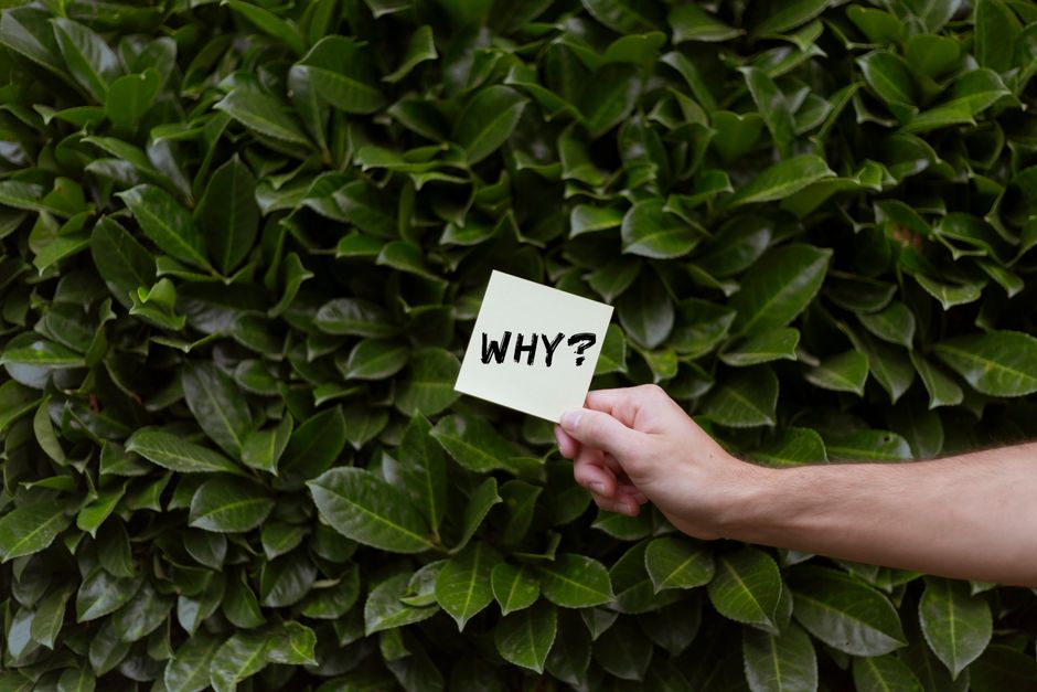 Why High Earners Feel Broke and How FIRE Fixes It